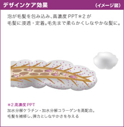 アリミノ　シェルパ