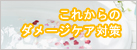 ã“これからのダメージケア対策