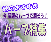 秋のハーブ特集