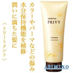 アリミノ ケアトリコ プリヴィ トリートメント モイストスリーク 210g--