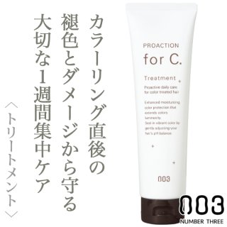 ナンバースリー プロテクション forC トリートメント3000g(業務