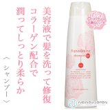 ニューウェイジャパン ナノアミノ シャンプー RM-RO 250ml--