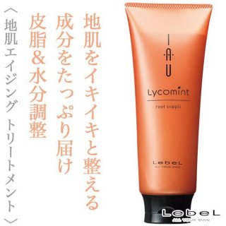 ハホニコ プロ ラメイ ヘアクレンジング 400ml--のヘアケア通販