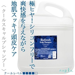 新品未開封 VI-OLA SANTI MIRACLE 美顔器 新品】SAINT MIRACL RF美顔器 VI-OLA ヴィオーラ｜ kikito