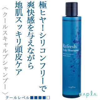 美容機器　Miracle wave VI-OLA ヴィオーラ マルチインバーター セイント ミラクル 美顔