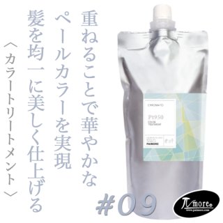 パイモア クロマト カラートリートメント(Pt950)500g--の