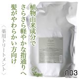 ナンバースリー イルガ 薬用トリートメントS 3000g(業務用)--