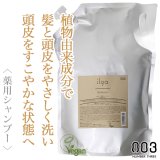 ナンバースリー イルガ 薬用シャンプー 3000ml(業務用)--