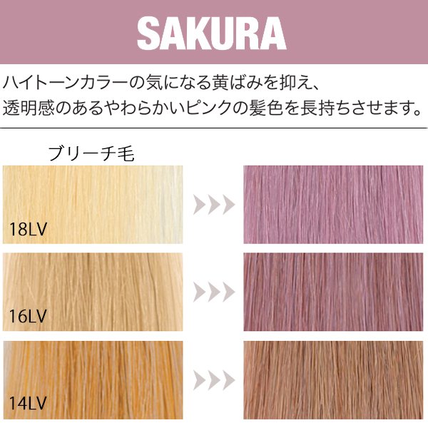 画像2: フィヨーレ クオルシア カラーシャンプー サクラ 250ml-- (2)