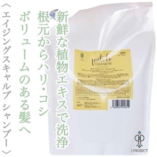 ジェイプロジェクト プテロ AR シャンプー グランディール 300ml