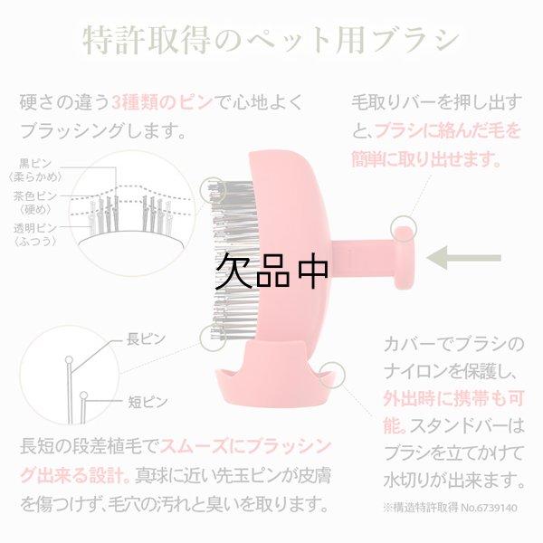 画像5: エスハートエス ペット用ブラシ パルムアニモ グリーン【送 料無料】-- (5)