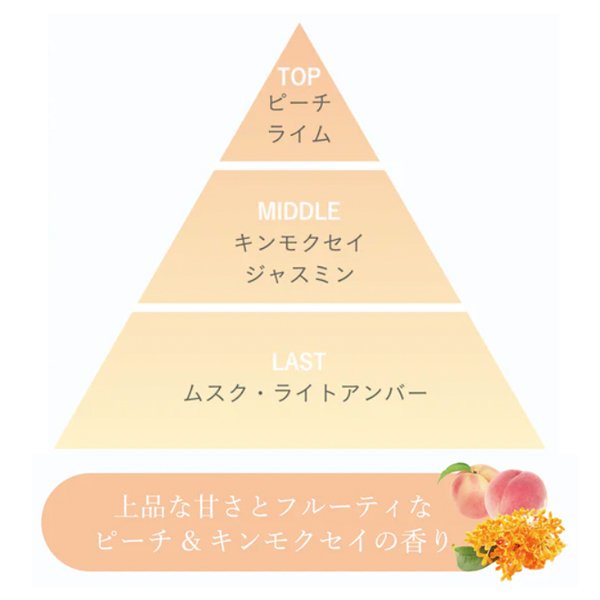 画像2: ムコタ プロミル ミルク ナイトケア 3g×3包-- (2)