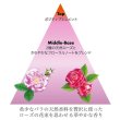 画像2: 資生堂プロフェッショナル サブリミック ルミノフォース シャンプー 500ml(ポンプ)【送 料 無 料】-- (2)