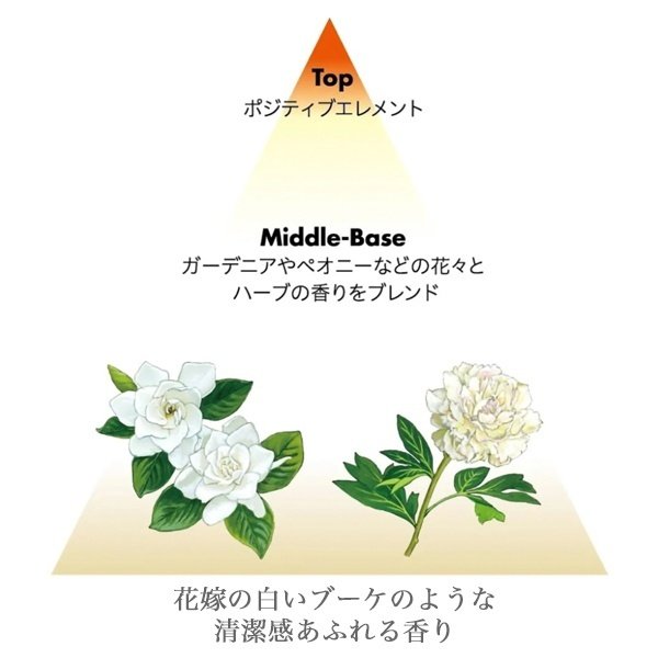 画像2: 資生堂プロフェッショナル サブリミック アクアインテンシブ トリートメント (W) 450g(レフィル)【送 料 無 料】-- (2)