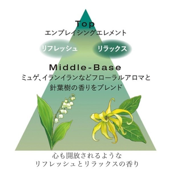 画像2: 資生堂プロフェッショナル サブリミック フェンテフォルテ アロマ スパ ドロップ(リフレッシュ) 48ml【送 料 無 料】-- (2)