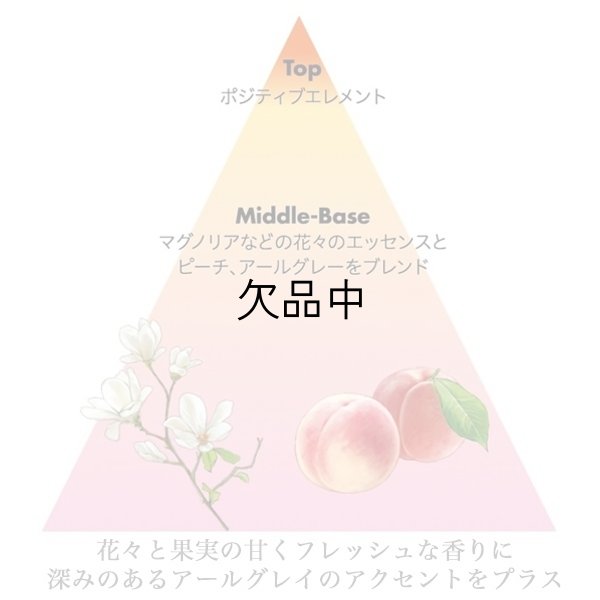 画像2: 資生堂プロフェッショナル サブリミック エアリーフロー トリートメント (T) 450g(レフィル)【送 料 無 料】-- (2)