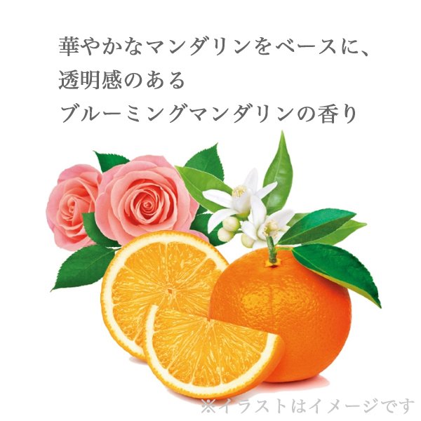 画像2: ミルボン グランドリンケージ エクスフィーク メロウリュクス シャンプー 400ml(レフィル)-- (2)