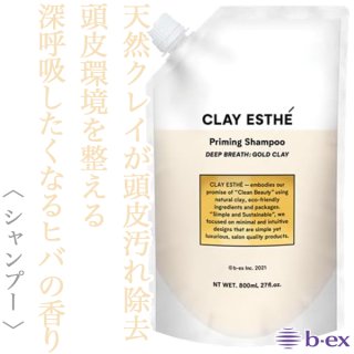 ビーエックス クレイエステ パックEX 300g--のヘアケア通販