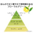 画像2: ルベル イオ セラム クレンジング 200ml-- (2)