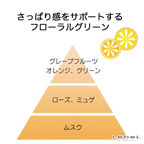 画像2: ルベル イオ クレンジング フレッシュメント シャンプー2500ml(業務用)-- (2)