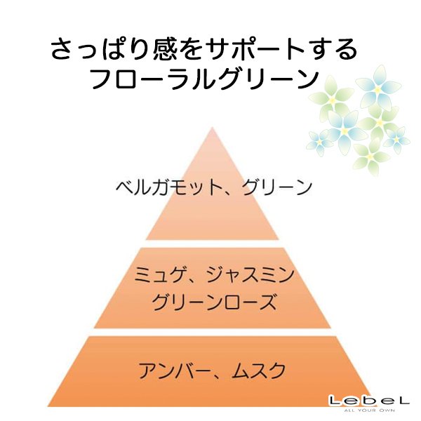 画像2: ルベル イオ クレンジング クリアメント シャンプー 2500ml(業務用)-- (2)