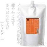 ルベル イオ クレンジング クリアメント シャンプー 2500ml(業務用)--