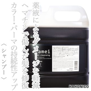 ハホニコ プロ ディスデモカ ヘアクレンジング 4000ml（業務用）--の