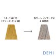 画像2: デミ トレニージョ カラーシャンプー PU 290ml-- (2)