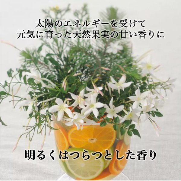 画像2: 資生堂プロフェッショナル ザ・ヘアケア アデノバイタル スカルプ トリートメント 130g×2本-- (2)