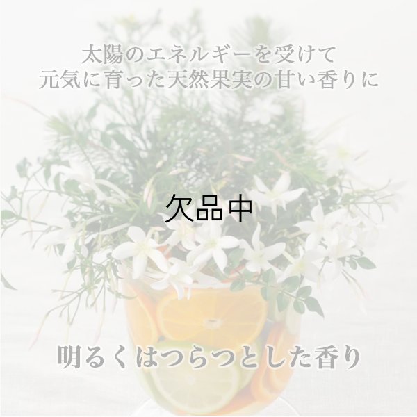 画像2: 資生堂プロフェッショナル ザ・ヘアケア アデノバイタル シャンプー 250ml-- (2)