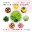 画像2: 資生堂プロフェッショナル ザ・ヘアケア リファイニンググロウ シャンプー 250ml-- (2)