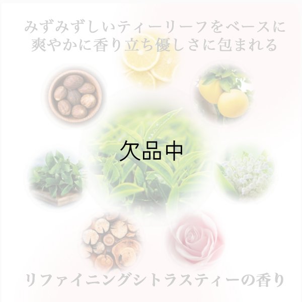 画像2: 資生堂プロフェッショナル ザ・ヘアケア リファイニンググロウ シャンプー 250ml-- (2)