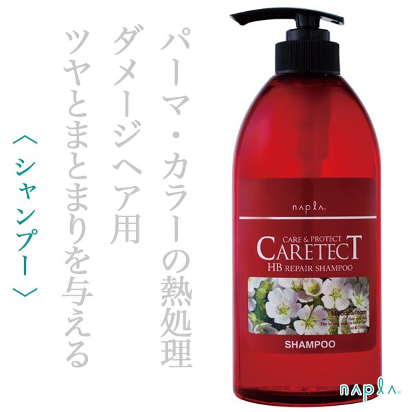 caretectHBrepair