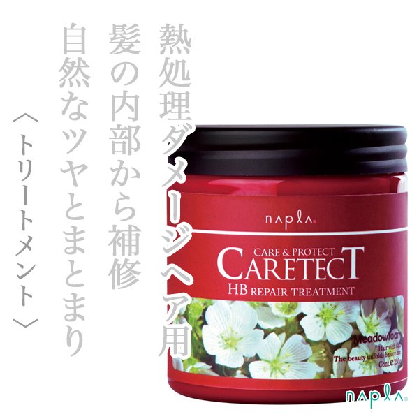 caretectHBrepair