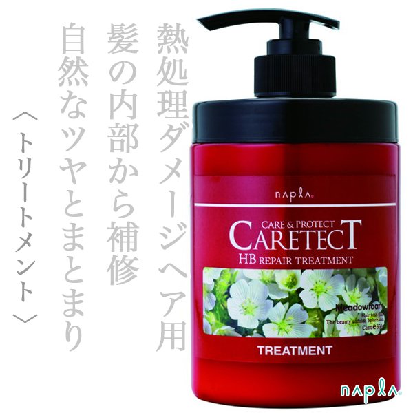 caretectHBrepair