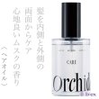 orchidee