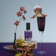 画像4: ビーエックス メゾン オルキデ ティントオイル 20ml-- (4)