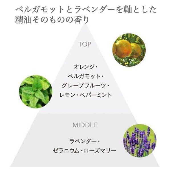 画像2: アリミノ スプリナージュ セラム スパ オイル 40ml-- (2)