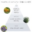 画像2: アリミノ スプリナージュ ジェントルニュアンス オイル 120ml-- (2)