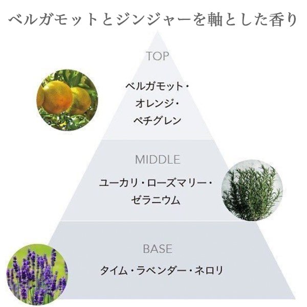 画像2: アリミノ スプリナージュ ジェントルニュアンス オイル 120ml-- (2)