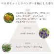 画像2: アリミノ スプリナージュ シャンプー パフスムース 680ml(ポンプ)-- (2)
