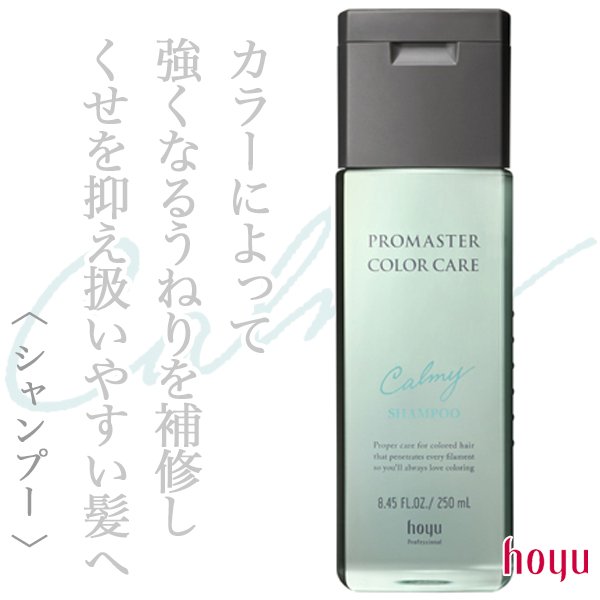 promaster