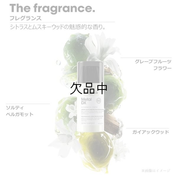 画像3: ロレアル セリエ メタルDX コンセントレイティッド クリーム 100ml-- (3)