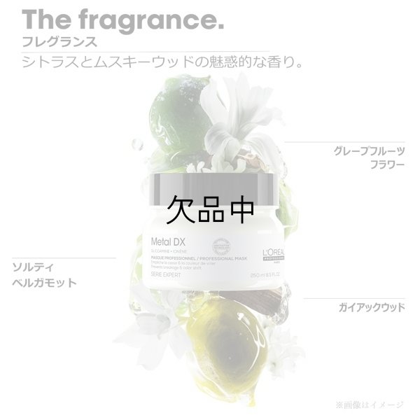 画像3: ロレアル セリエ メタルDX マスク 250g-- (3)