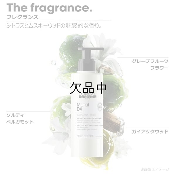画像3: ロレアル セリエ メタルDX プレシャンプー トリートメント 250ml-- (3)