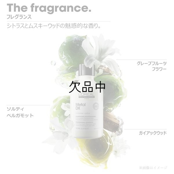 画像3: ロレアル セリエ メタルDX シャンプー 300ml-- (3)