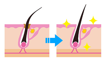 毛穴の綺麗さ