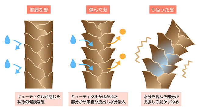 硬水で髪を洗う方法