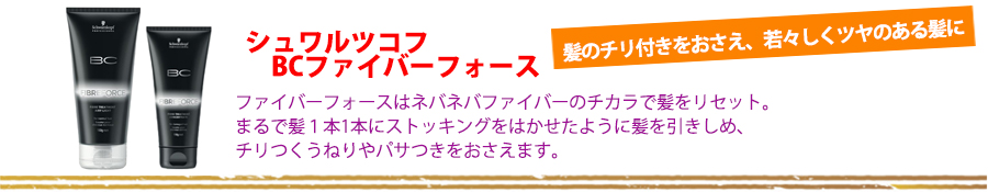 シュワルツコフ BCファイバーフォース