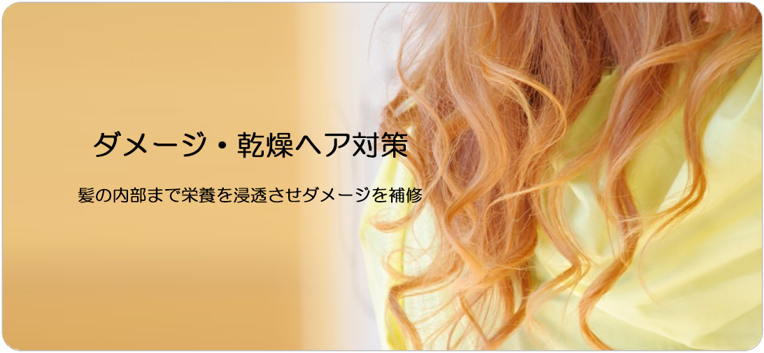 ダメージ　乾燥対策